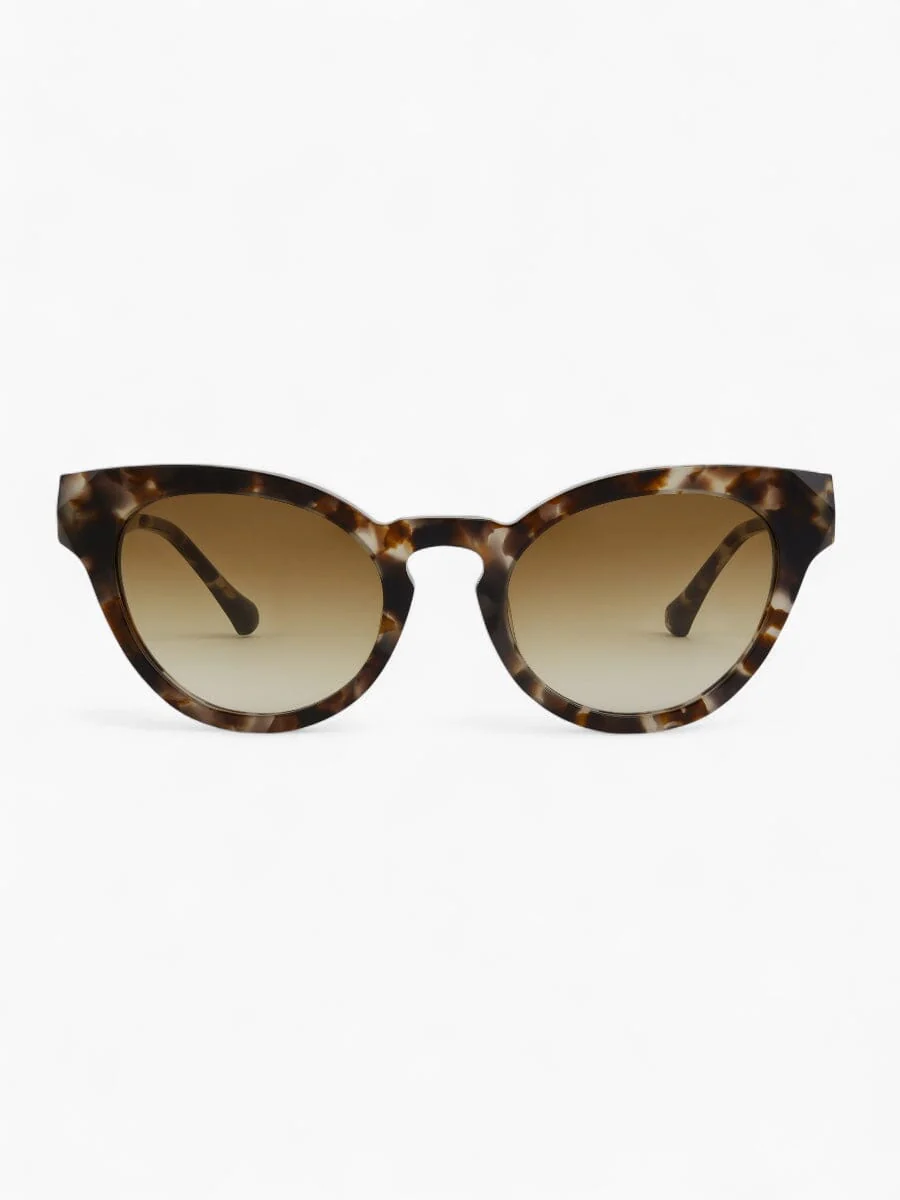 New Collection Sunglasses